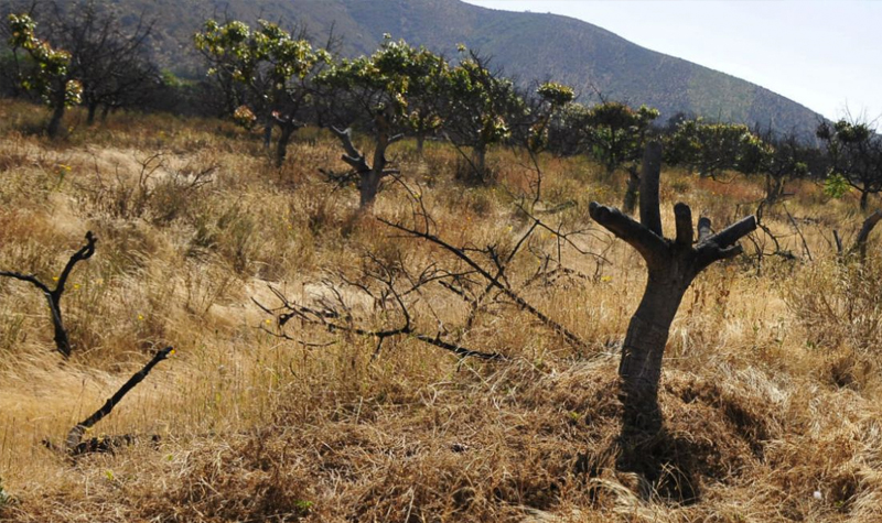 Escazes de agua afecta a 61 comunas del país