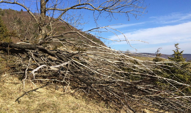 Escazes de agua afecta a 61 comunas del país