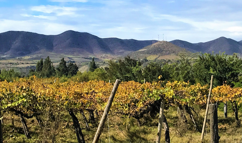 Gobierno entregó $3.788 millones para potenciar el riego en Región de Coquimbo